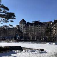 강원도 겨울 필수코스☃️ 눈썰매장으로 떠나요!