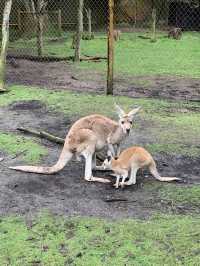 Day trip to Caversham Park, Perth