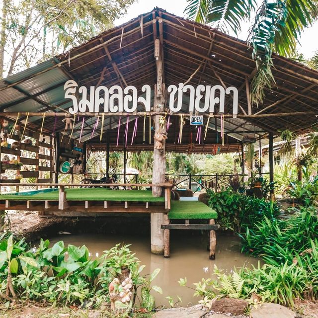 ร้านอาหารริมคลอง สัมผัสใกล้ชิดธรรมชาติในพังงา