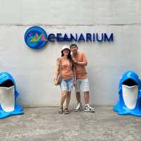 Marine encounter at Cebu Ocean Park 
