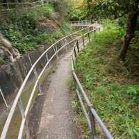 由香港仔郊野公園慢步行止姻緣石
