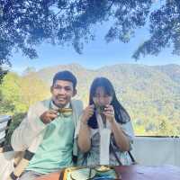 The Giant Chiangmai