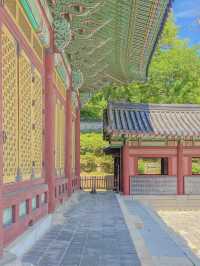 한복 입고 궁궐 걷기, 서울 창덕궁❤️