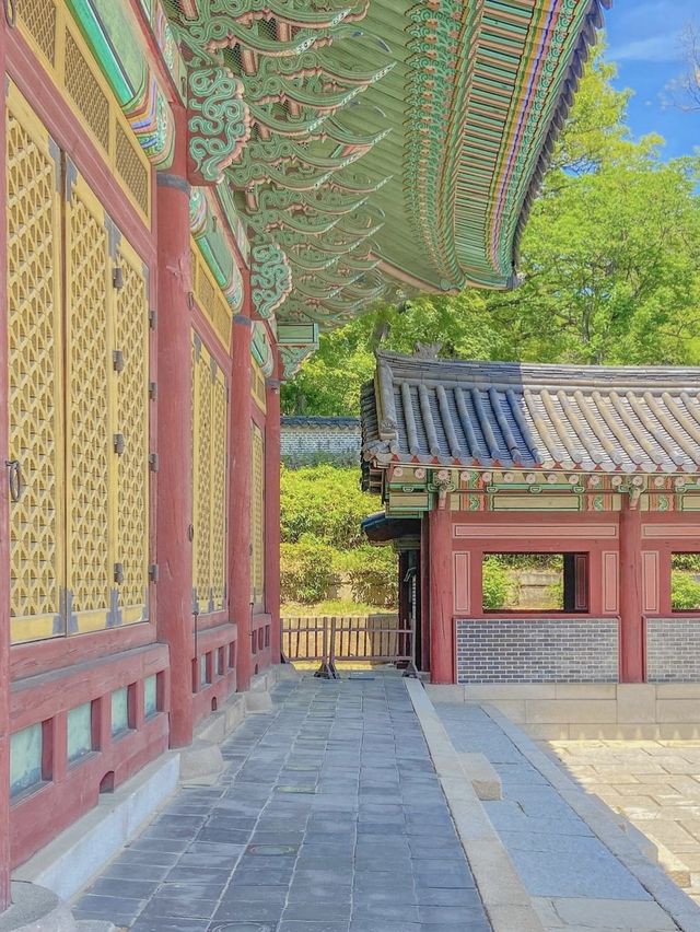한복 입고 궁궐 걷기, 서울 창덕궁❤️