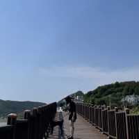 인스타 감성 말고, 자연 감성은 어때요🌊 바람,꽃 언덕