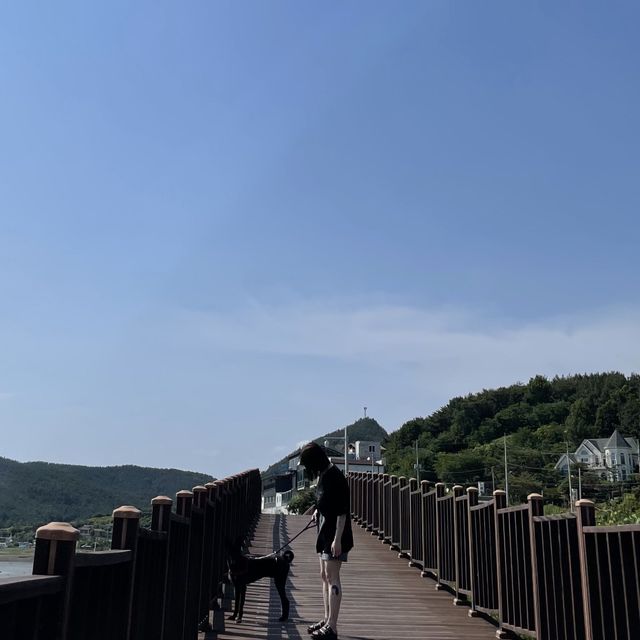 인스타 감성 말고, 자연 감성은 어때요🌊 바람,꽃 언덕