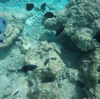 Rubiah Island paradise in the edge of Indonesia