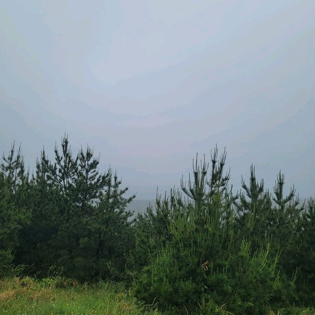 제주여행 제주도의 인기 오름 중 하나의 아부오름 등반