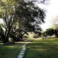 เตวแอ่ว คาเฟ่เฮาส์ @Take a Walk  