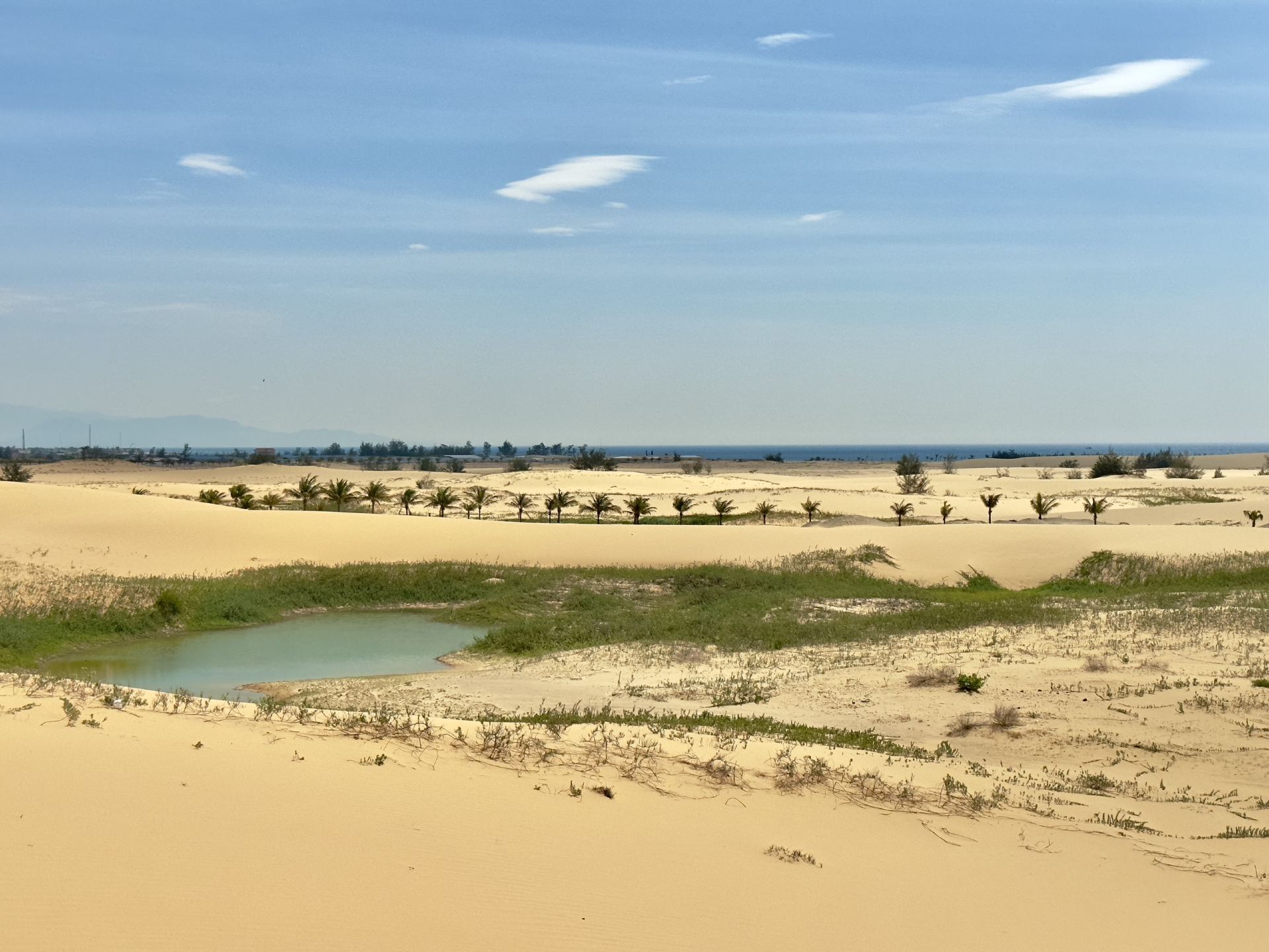 Phan Rang Desert Tour, a must-see course for travelers to Nha Trang these days🐫