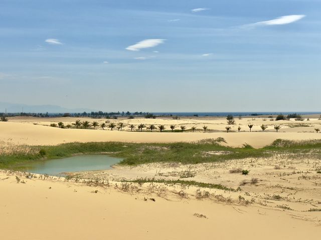 요즘 나트랑 여행의 필수 코스로 뜨는 판랑 사막투어🐫