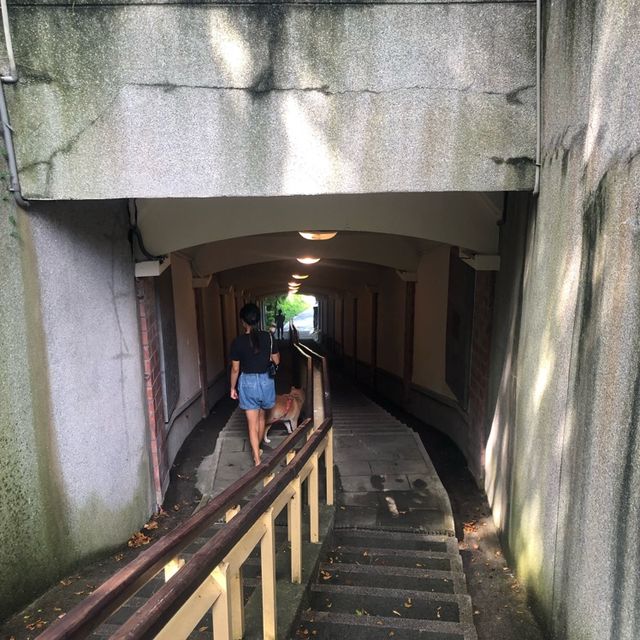 大溪月眉古道