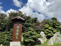 坐港鐵遊香港 | 鑽石山站 | 南蓮園池與志蓮淨苑