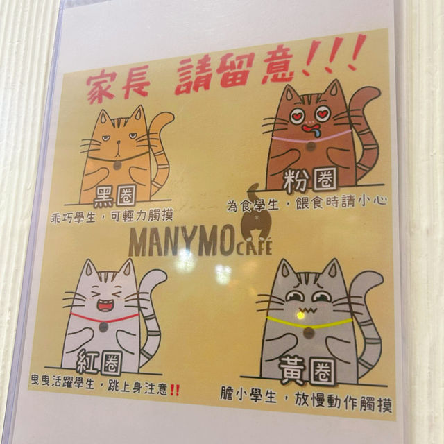 Many Mo Cafe Many Mo Cafe
