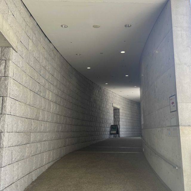 兵庫/淡路島【淡路夢舞台】映えスポット♡有名建築家・安藤忠雄さんが設計した複合施設