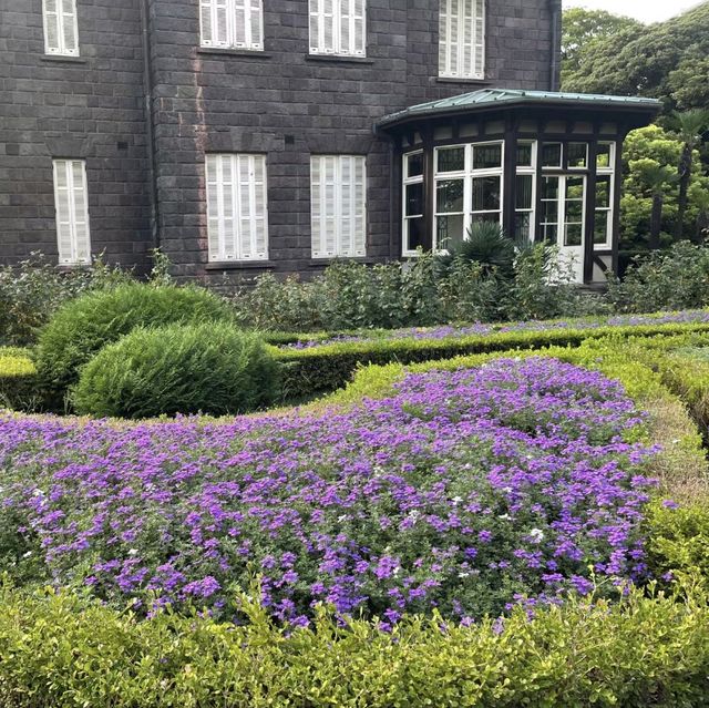 花與和諧的完美結合！舊古河庭園🌹🏰🌿
