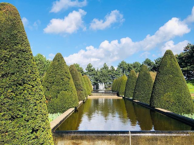 荷蘭🇳🇱盧瑟Lisse·親子好去處🐑🌳庫肯霍夫花園Keukenhof Garden