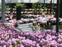 Miracle of Natural สวนดอกไม้เมืองหนาว 🌸🌹🌻💐