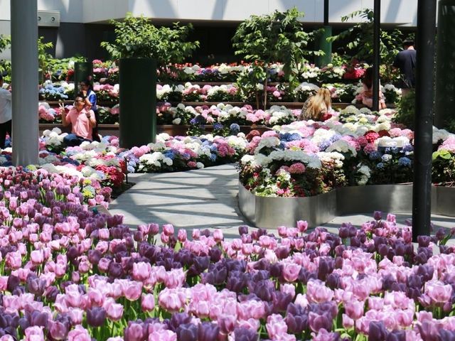 Miracle of Natural สวนดอกไม้เมืองหนาว 🌸🌹🌻💐