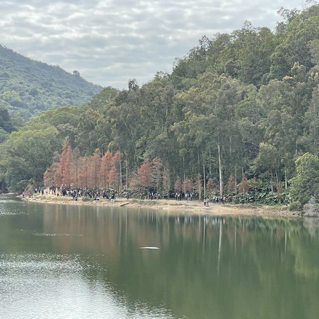 秋季遊🍂流水響