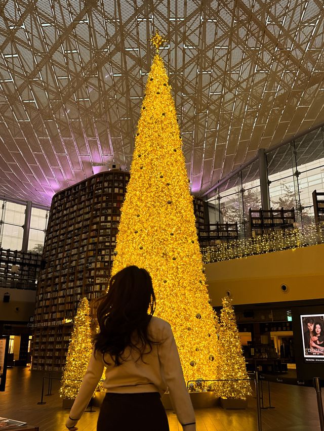 세상 제일 반짝이는 서점✨ 황금빛 대형트리 혼자 즐기는 방법🎄
