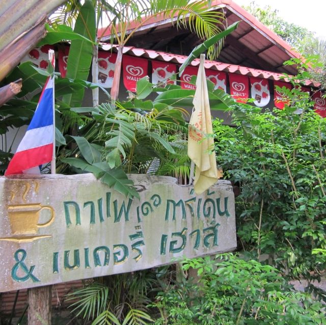 Eat Like A Local in Phuket