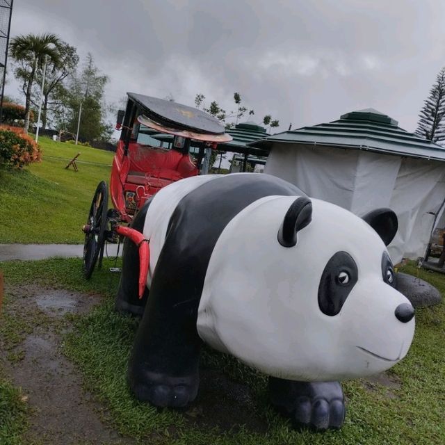 its more fun in CAMPUESTUHAN HIGHLAND RESORT (PHILIPPINES )