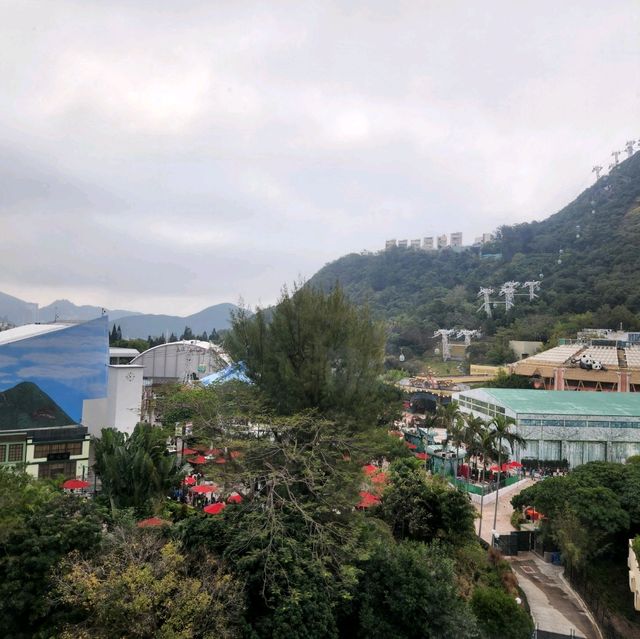 港島南區過年兩日一夜之旅