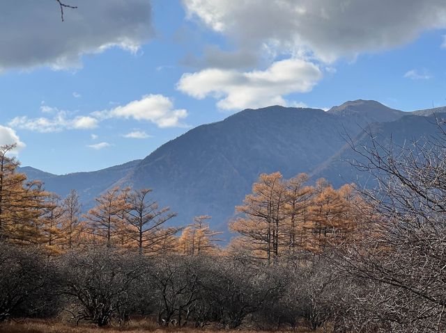 紅葉の時期の日光