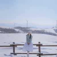 풍차와 함께 하얀눈밭이 가득한 삼양목장❄️