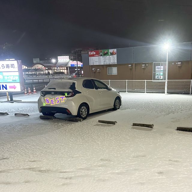 租車篇·自駕慢遊和歌山2023