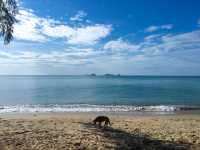 Moment Villa, Rayong 🌊🐳
