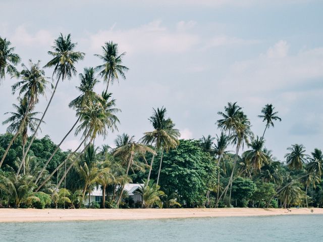 🏝️ เกาะขาม ทะเลแหวกที่สวยที่สุดในภาคตะวันออก!