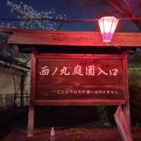 【大阪】大阪城西の丸庭園の桜🌸