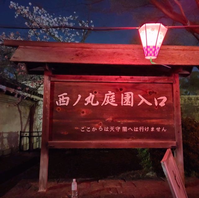 【大阪】大阪城西の丸庭園の桜🌸