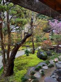 🇯🇵｜Kyoto Arashiyama Kijuro