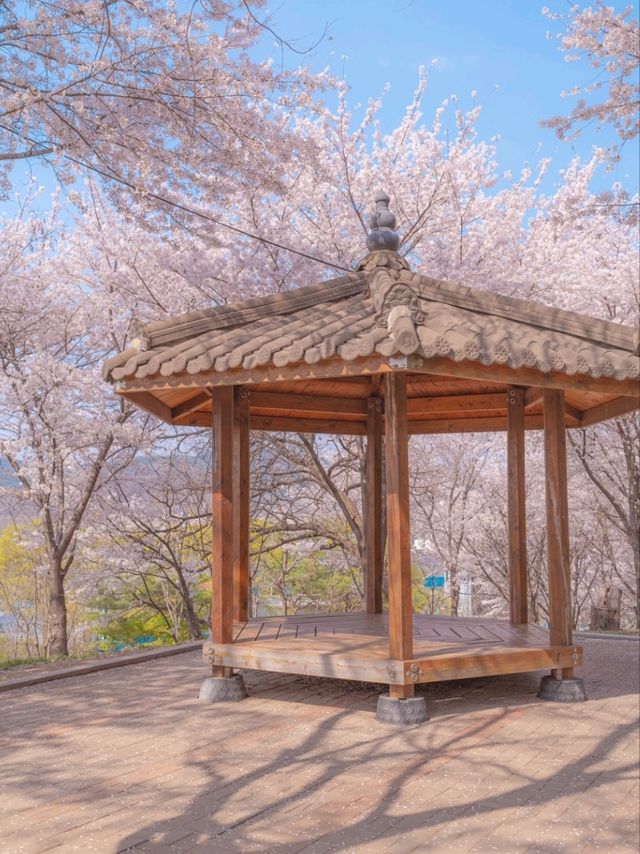 로맨스 영화의 한 장면이 생각나는 "침산공원"