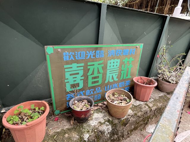輕鬆短途郊遊 @ 深井➡️清快塘新村➡️喜香農莊