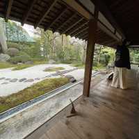 静けさと穴場のお寺と抹茶スポット