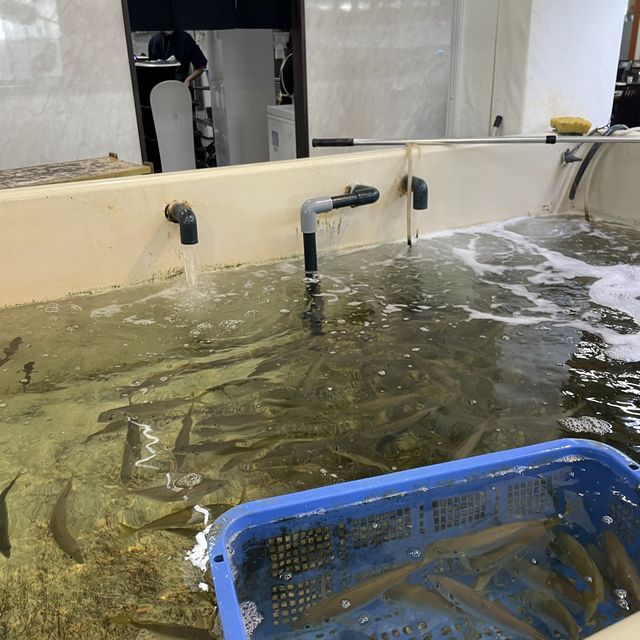 房総半島観光のランチにおすすめ！新鮮な海鮮が楽しめる浜焼き！