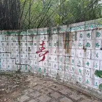 虞山公園的個人體驗感受