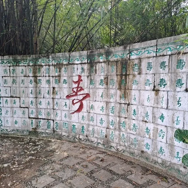 虞山公園的個人體驗感受