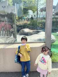 東京親子遊 - 恩賜上野動物園