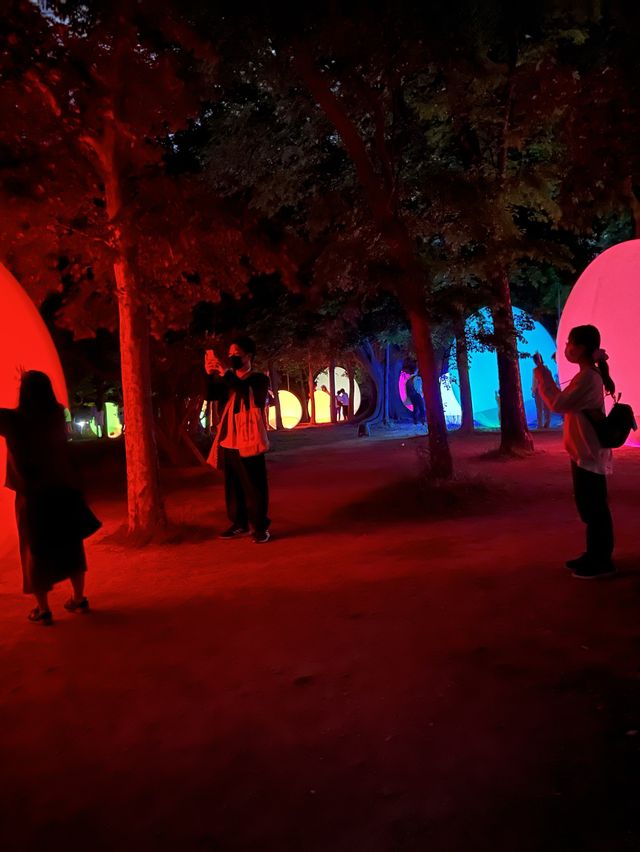 期間限定♥️大阪TeamLab✖️粉蝶花海