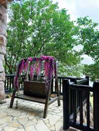 ⭐️全球首個根據聖經記載📖以1比1體積建成的挪亞方舟主題公園🎊