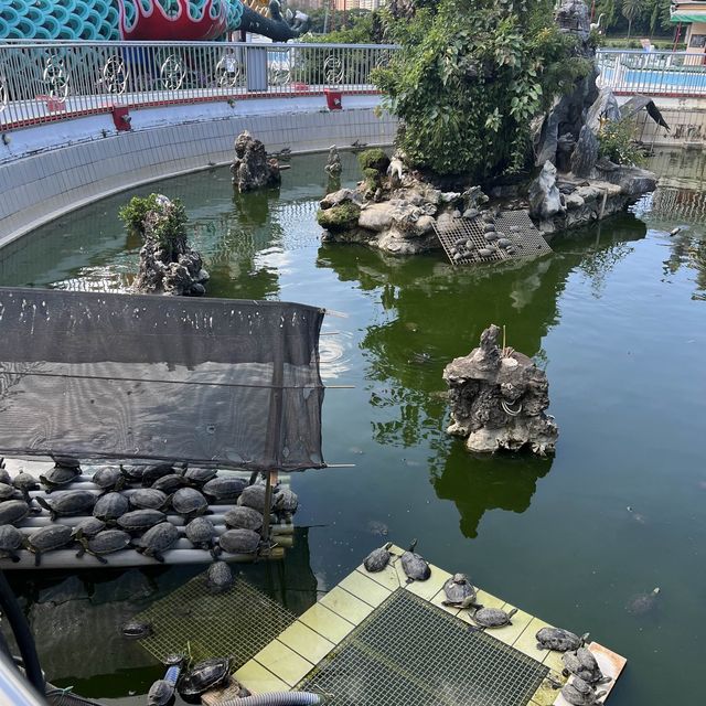 高雄景點-蓮池潭風景區