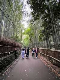 【細心欣賞大阪嵐山】三個推介景點🇯🇵