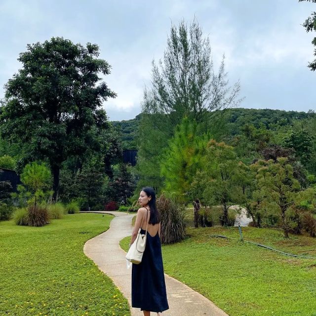 นอนเต็นท์ ฟิลกู้ดดด 🌳🌧️