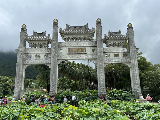香港遊 | 大嶼山 | 寶蓮禪寺 | 香港荷花節 (下)