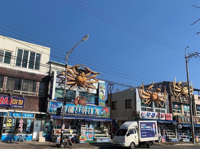 韓国ドラマ“椿の花咲く頃”ロケ地。